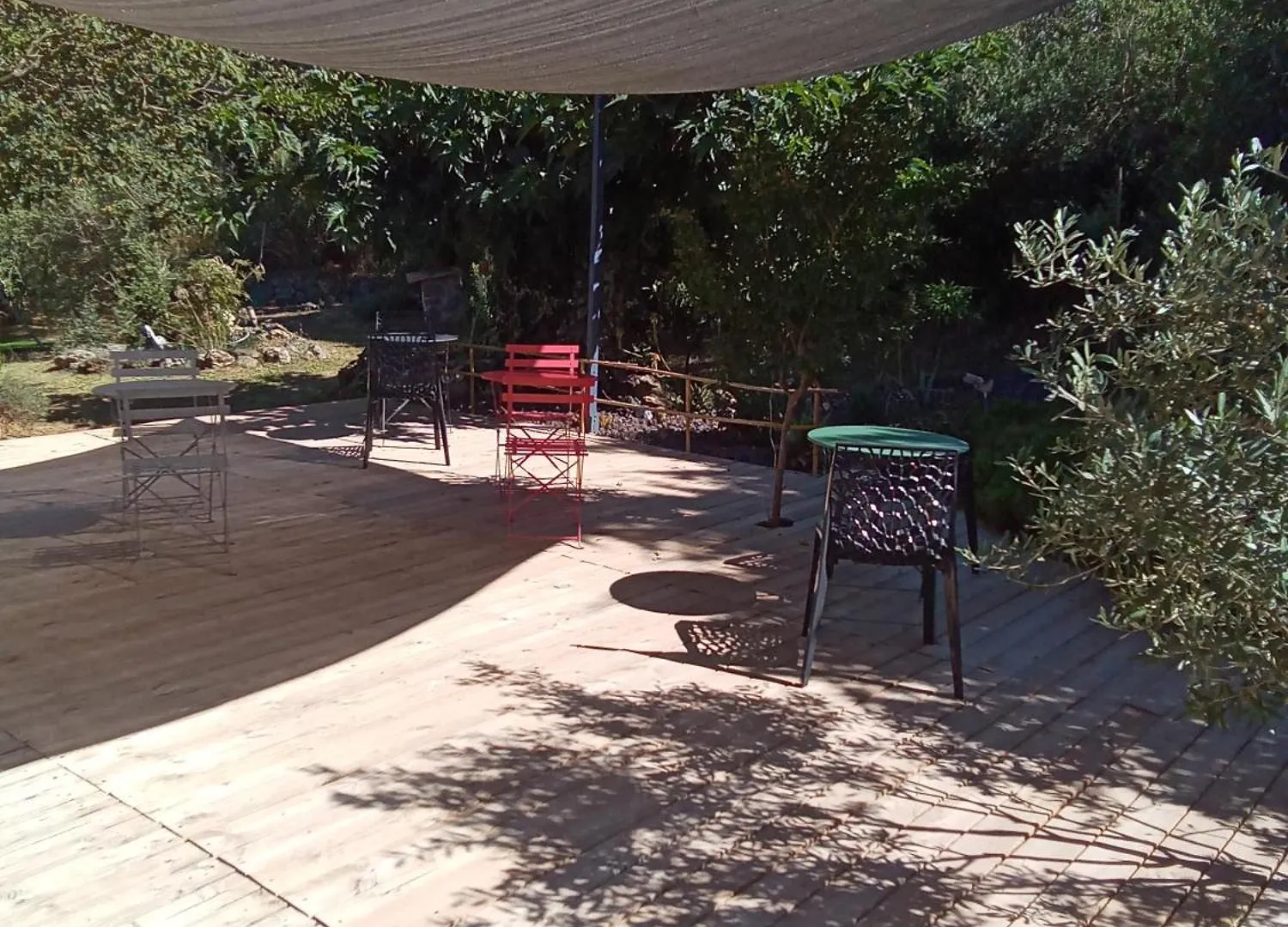 Chambres D'Hotes Le Mas Du Bijou Bleu Puget-sur Argens Bed & Breakfast