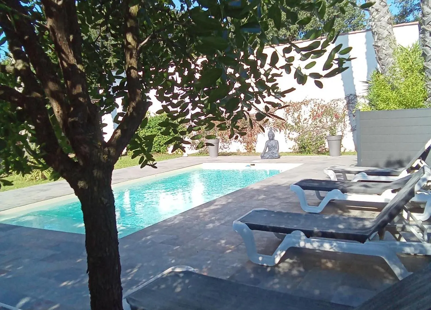 Chambres D'Hotes Le Mas Du Bijou Bleu Puget-sur Argens Bed & Breakfast