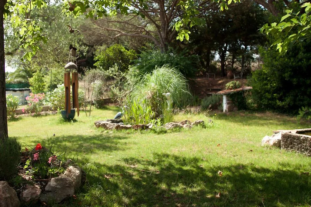 Chambres D'Hotes Le Mas Du Bijou Bleu Puget-sur Argens Bed & Breakfast
